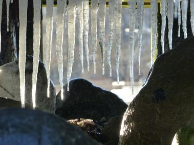 Istapper fra loftet i shelteren