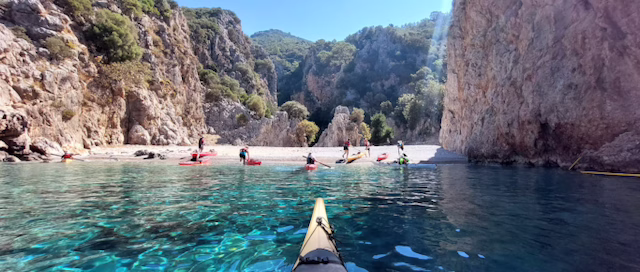 Kajakker på vej ind mod kysten i Tyrkiet